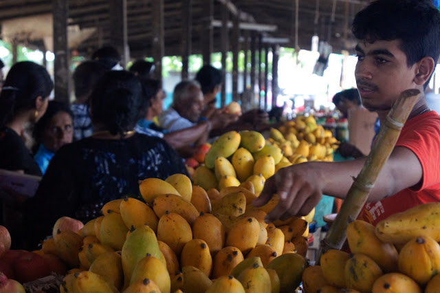 Markt in Jaffna: Ein Verkäufer preist seine Mangos an.